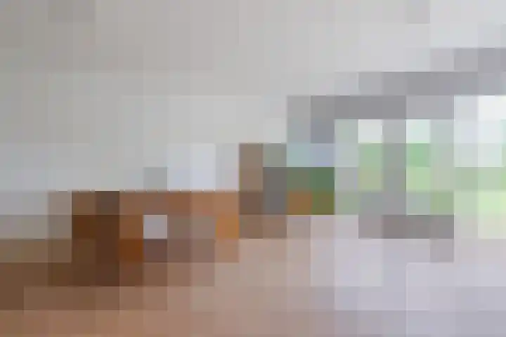 Mezenhof 97 Schagen thumbnail 6