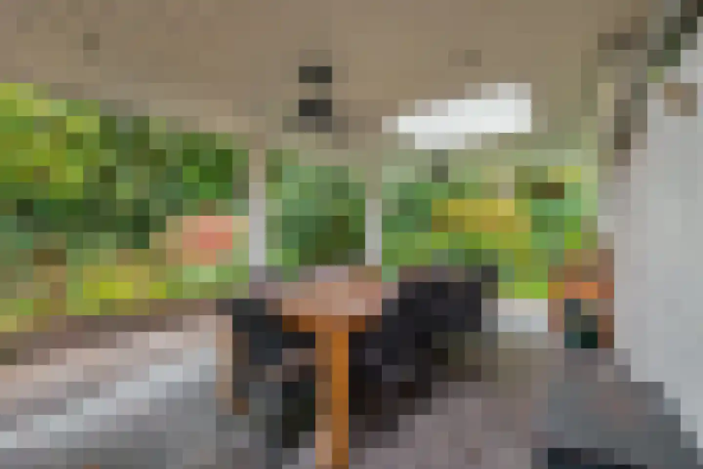 Mezenlaan 1 Leende thumbnail 20
