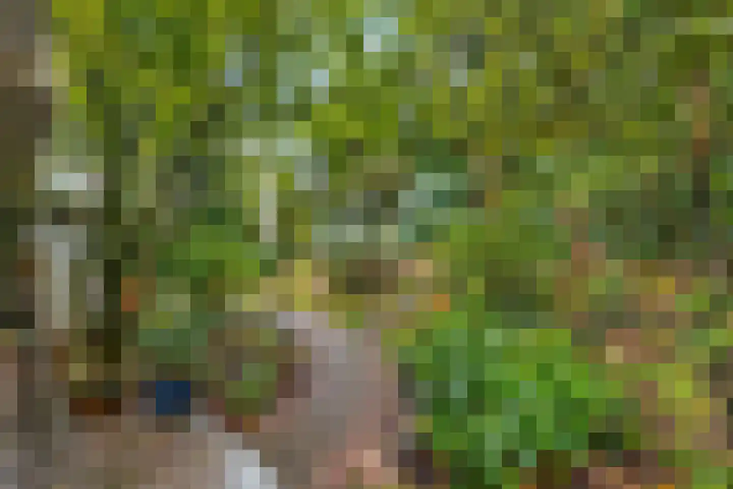 Mezenlaan 1 Leende thumbnail 23