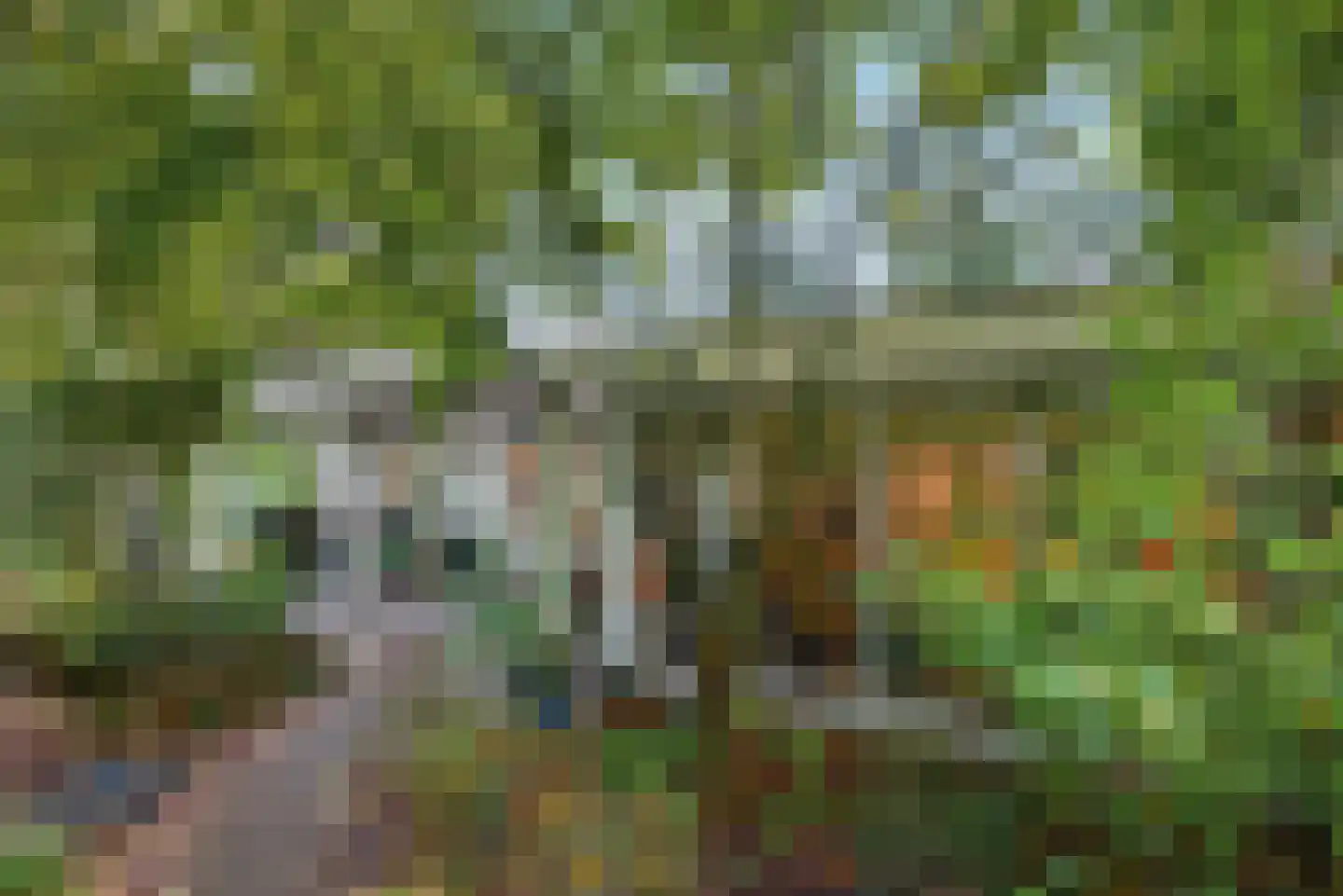 Mezenlaan 1 Leende thumbnail 29