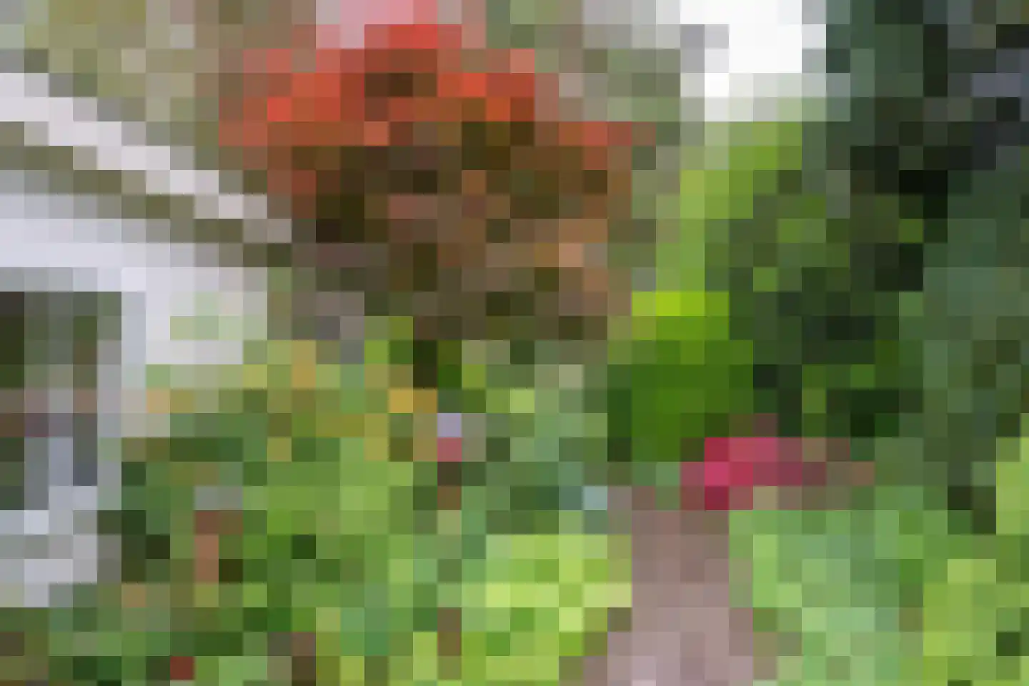 Mezenlaan 1 Leende thumbnail 47