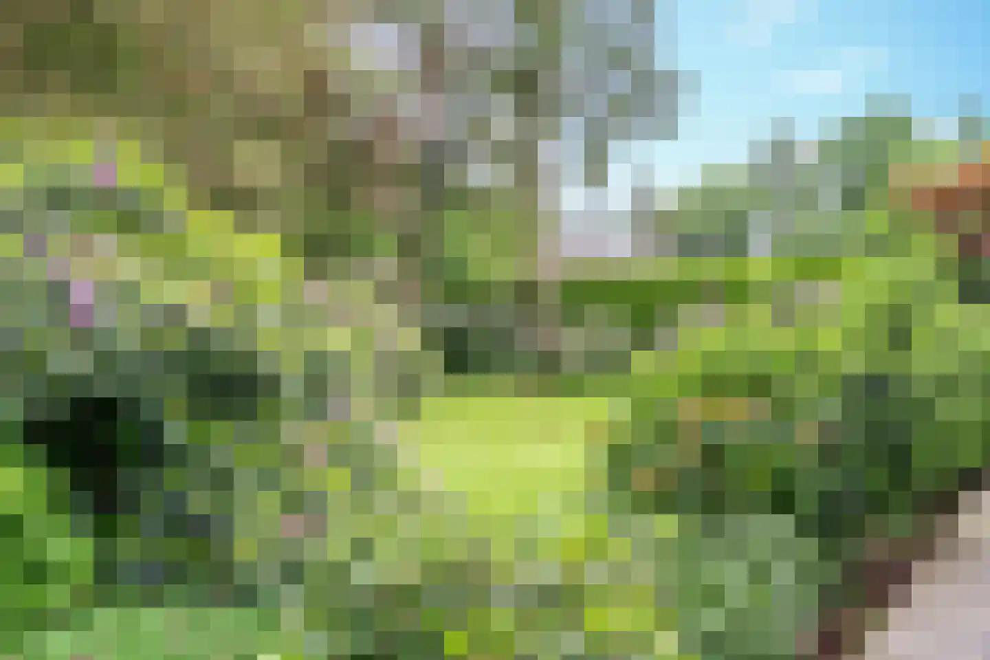 Mezenlaan 1 Leende thumbnail 49