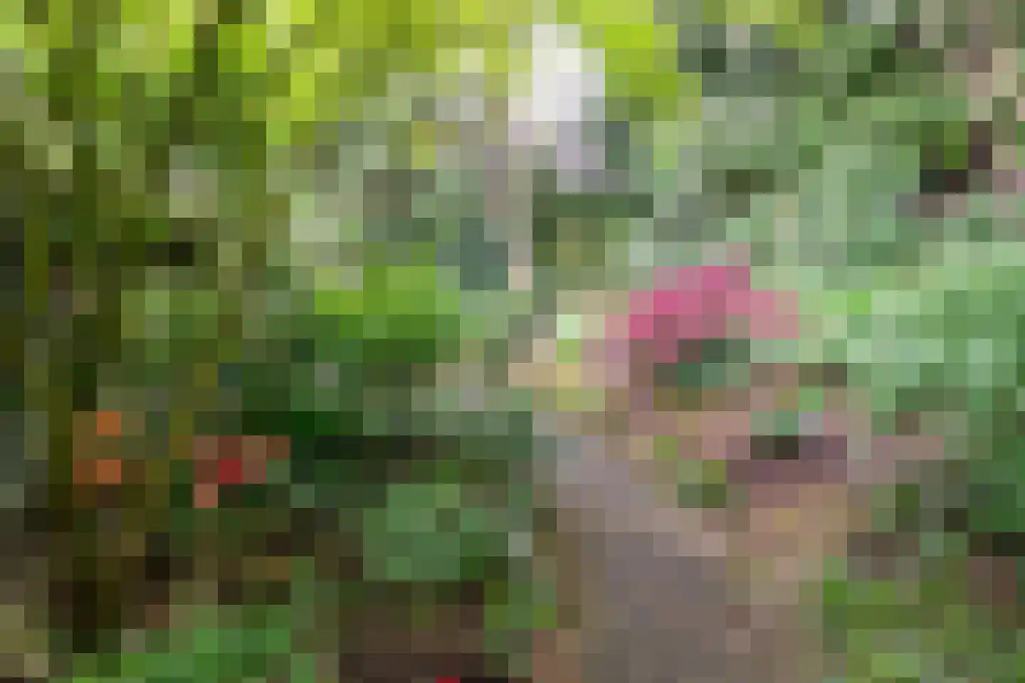 Mezenlaan 1 Leende thumbnail 54