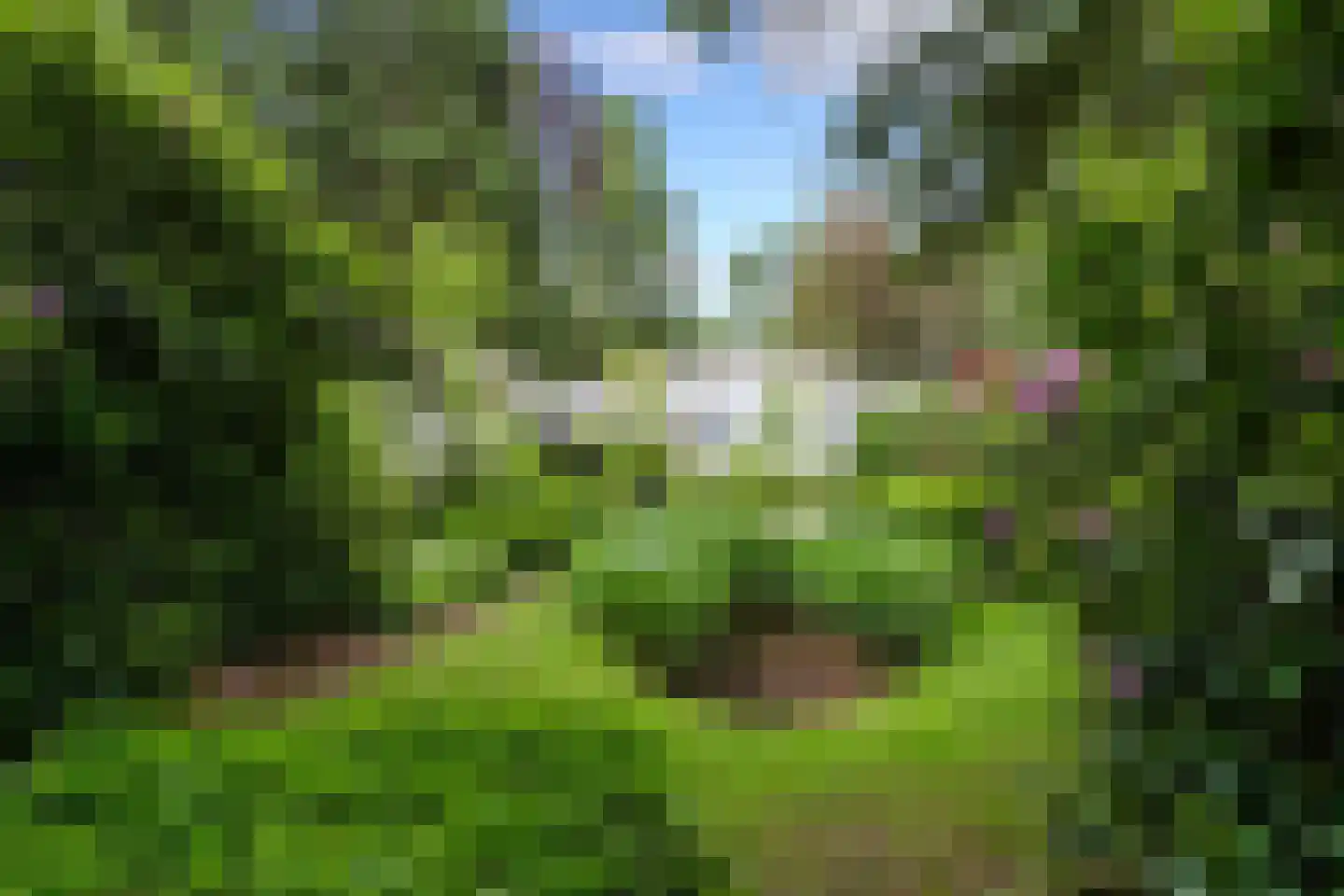 Mezenlaan 1 Leende thumbnail 7