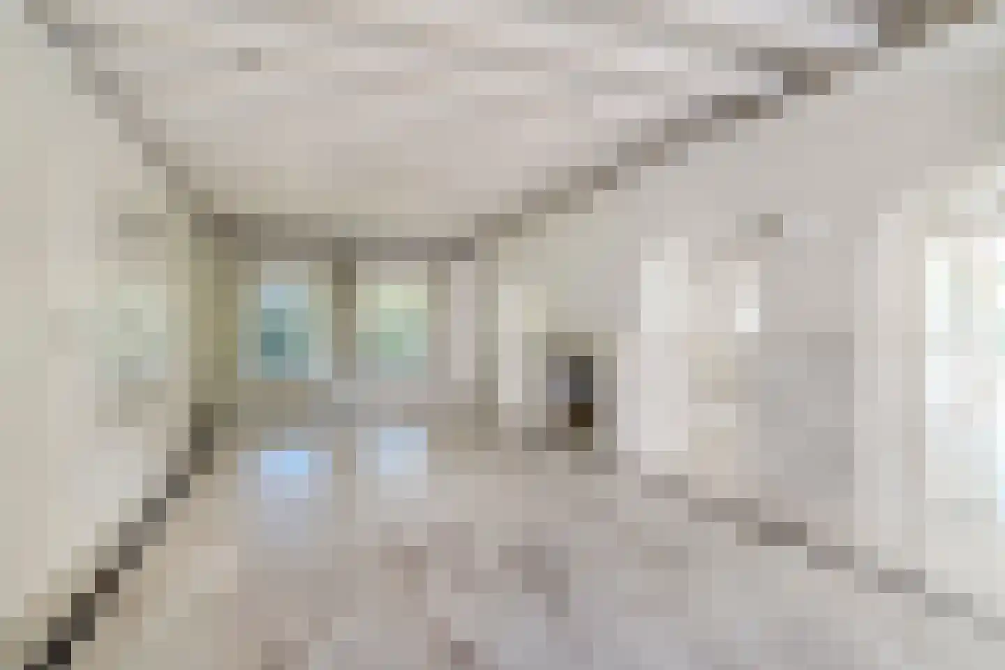 Mezenlaan 10 Boekel thumbnail 19
