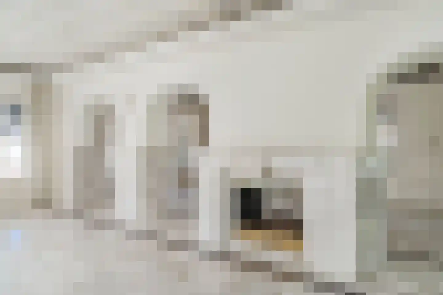 Mezenlaan 10 Boekel thumbnail 23