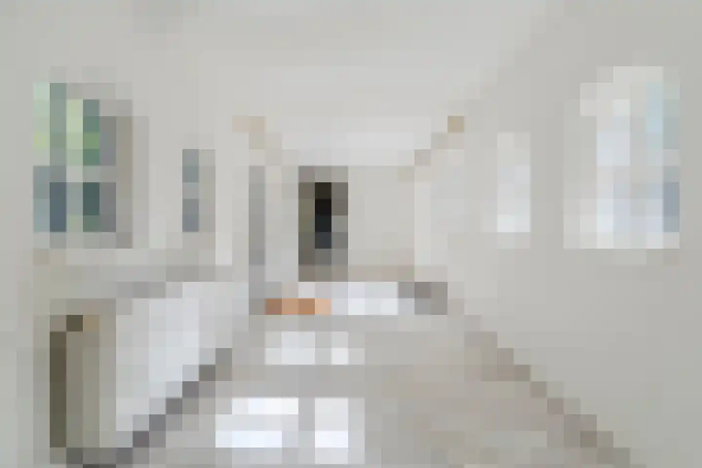 Mezenlaan 10 Boekel thumbnail 34