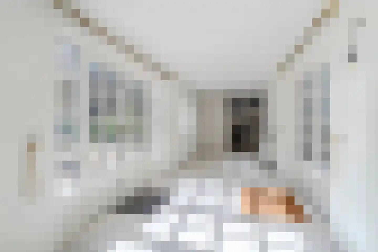 Mezenlaan 10 Boekel thumbnail 35