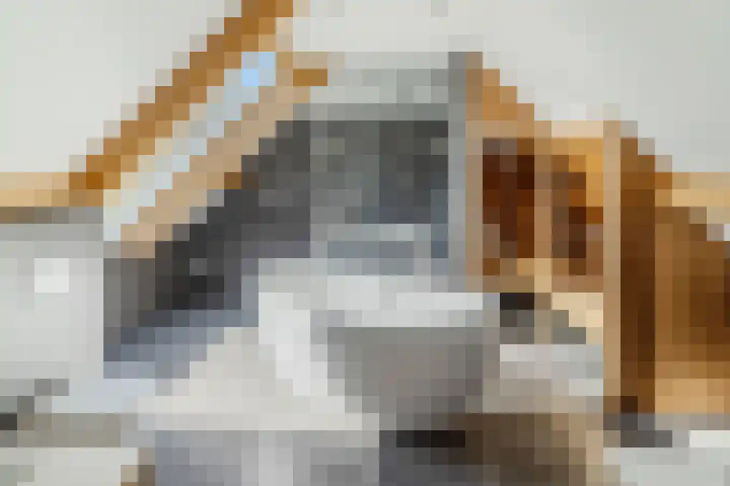Mezenlaan 10 Boekel thumbnail 45