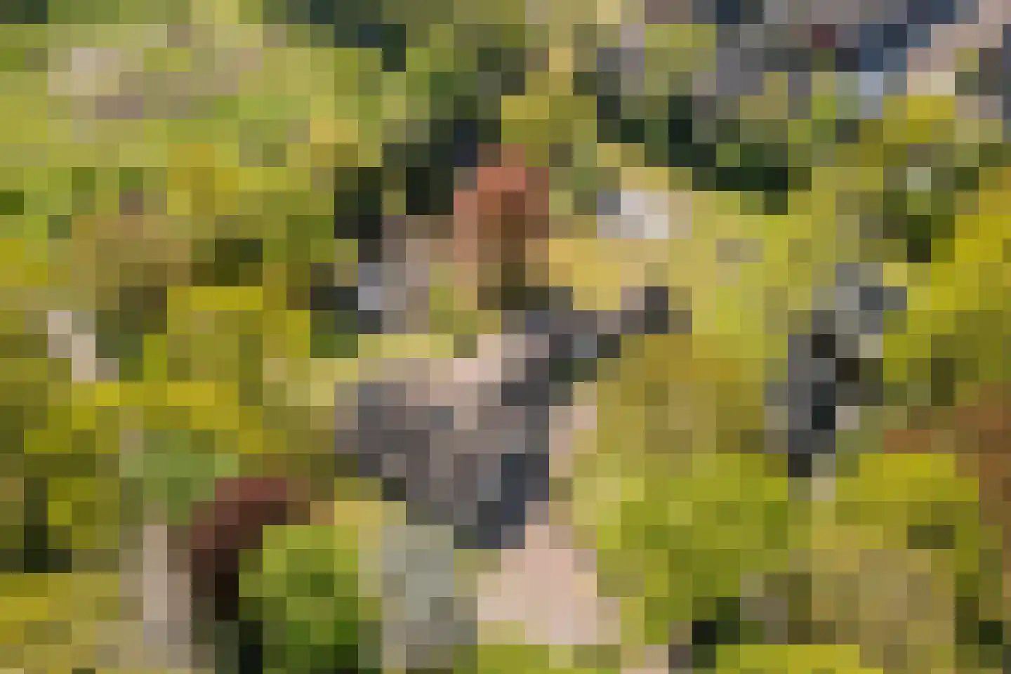 Mezenlaan 10 Boekel thumbnail 6