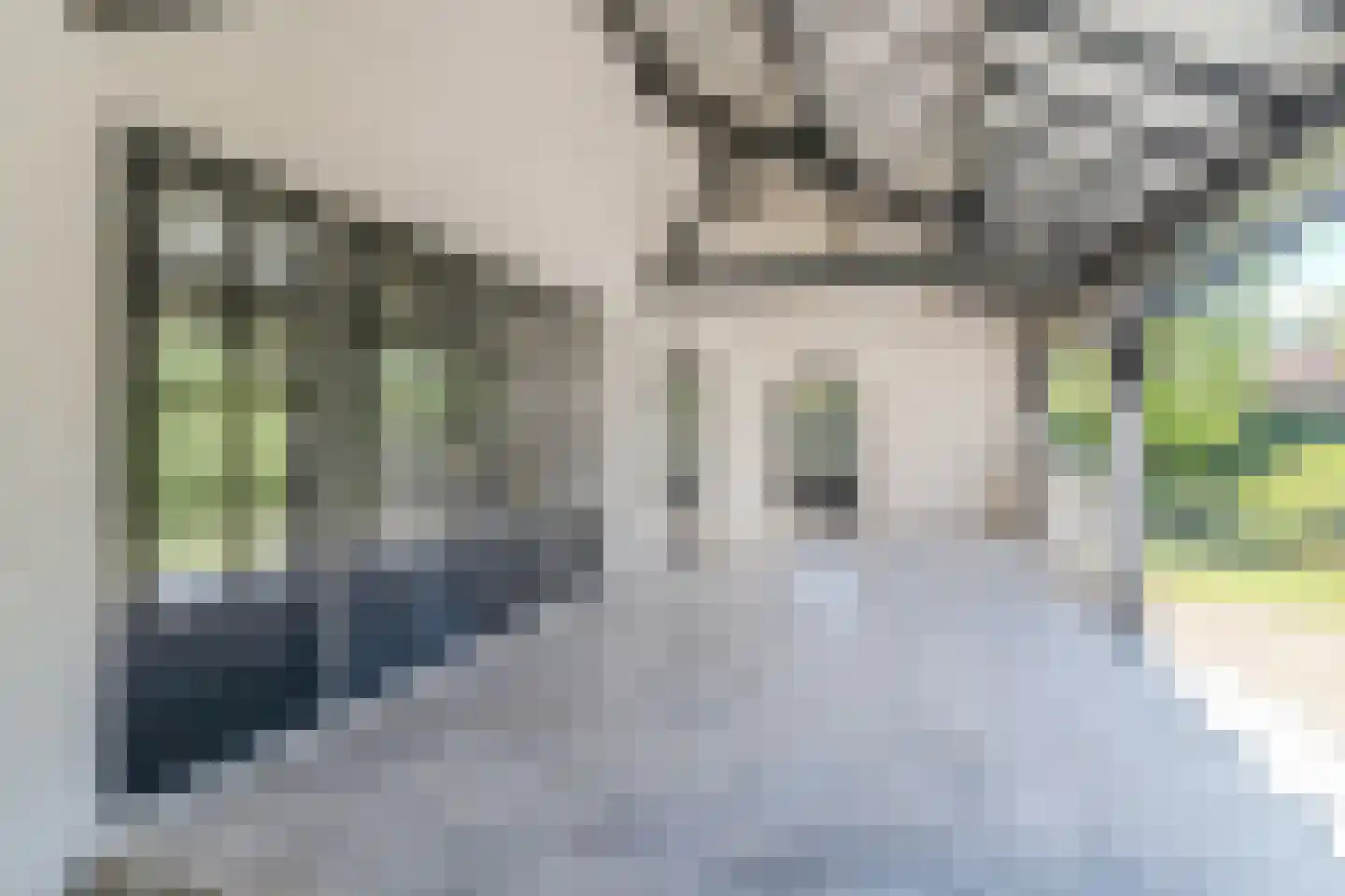 Mezenlaan 10 Boekel thumbnail 63