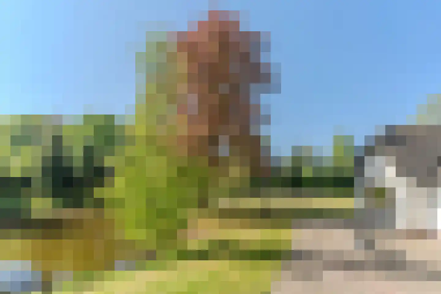 Mezenlaan 10 Boekel thumbnail 66