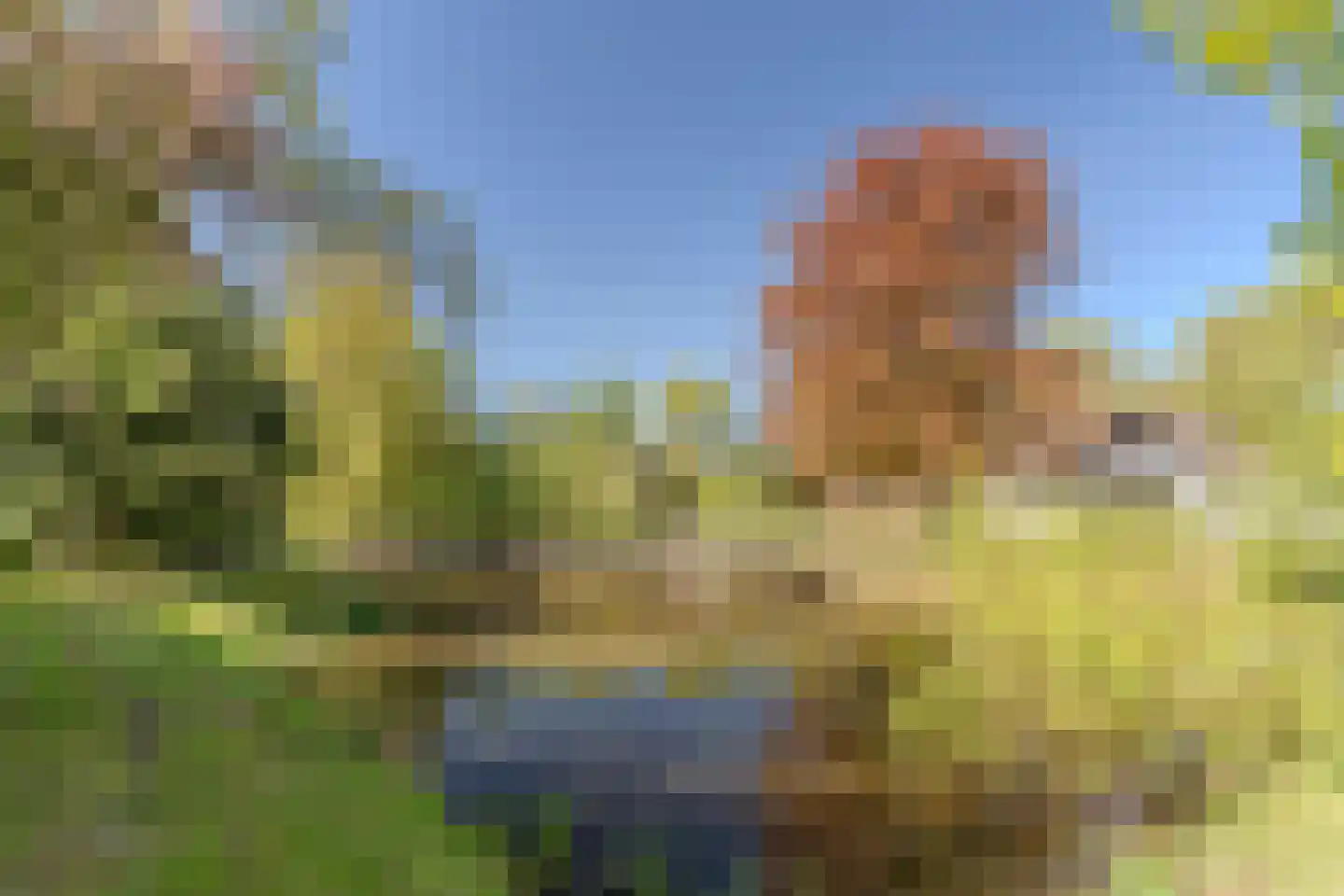 Mezenlaan 10 Boekel thumbnail 68