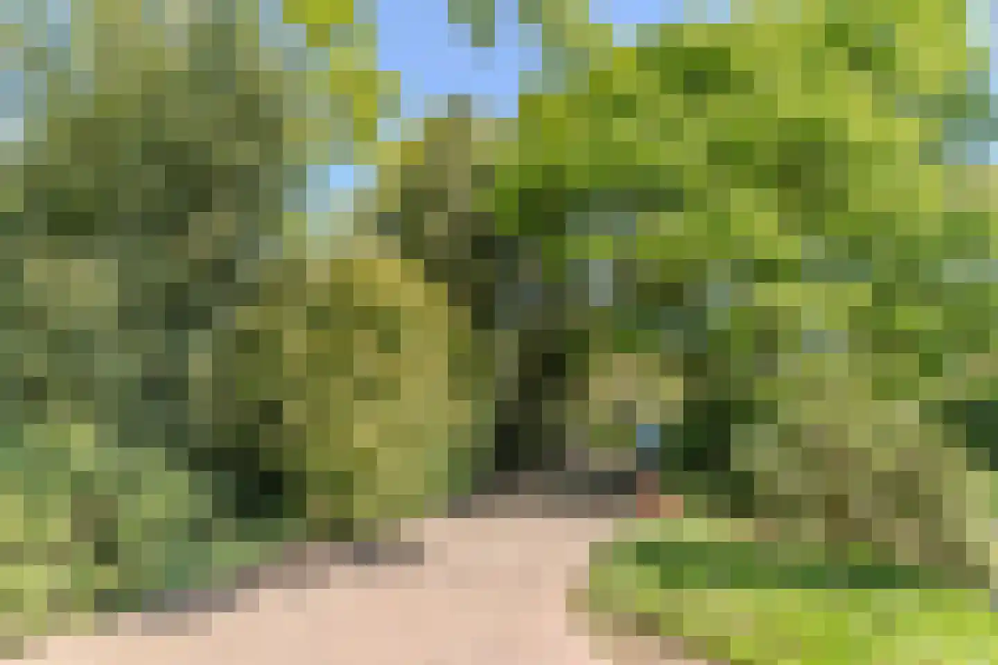 Mezenlaan 10 Boekel thumbnail 7