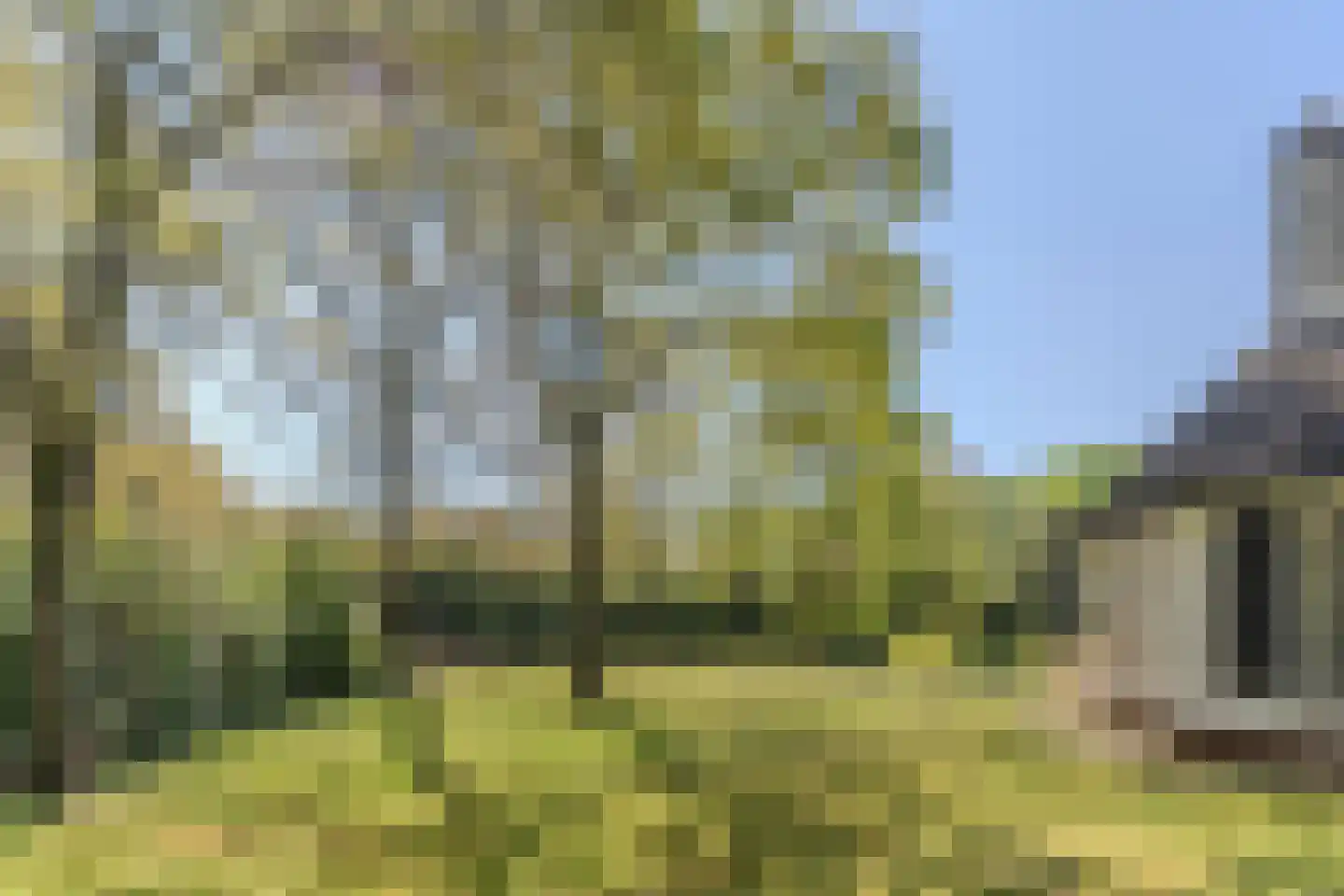 Mezenlaan 10 Boekel thumbnail 77
