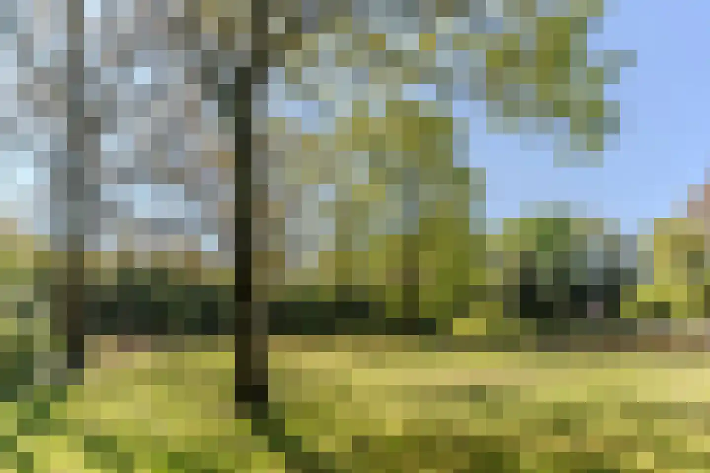Mezenlaan 10 Boekel thumbnail 78