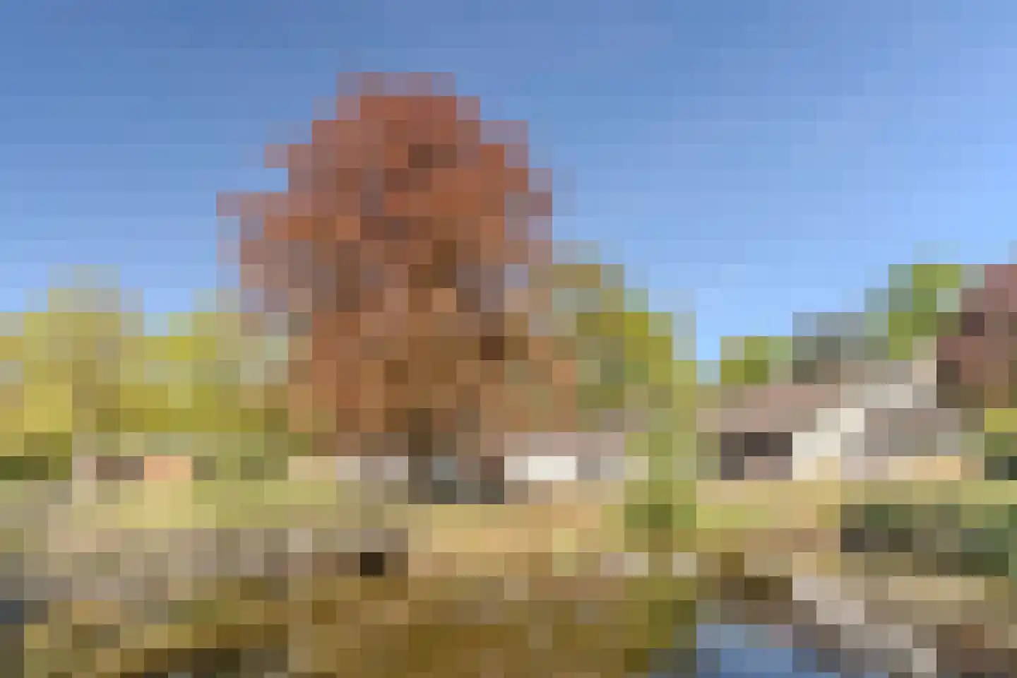 Mezenlaan 10 Boekel thumbnail 82