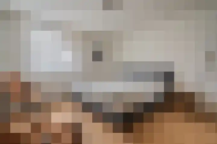 Mezenlaan 10 Nieuwe Pekela thumbnail 27