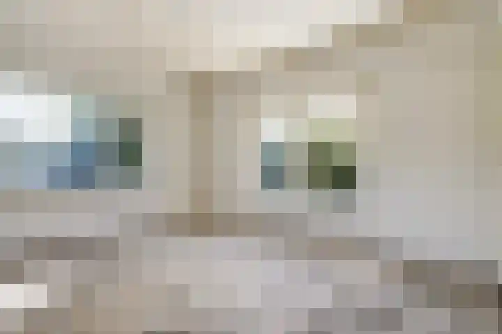 Mezenlaan 105 Den Haag thumbnail 11