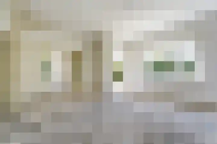 Mezenlaan 105 Den Haag thumbnail 12