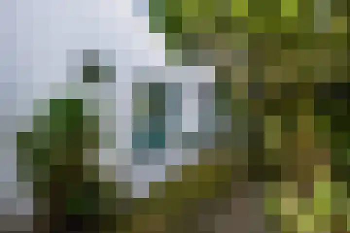 Mezenlaan 105 Den Haag thumbnail 15