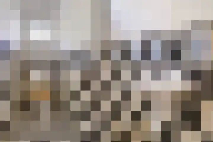 Mezenlaan 105 Den Haag thumbnail 20