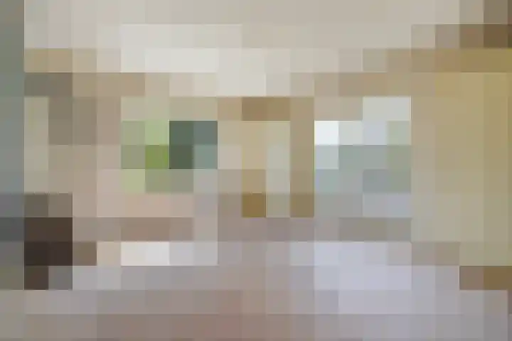 Mezenlaan 105 Den Haag thumbnail 23