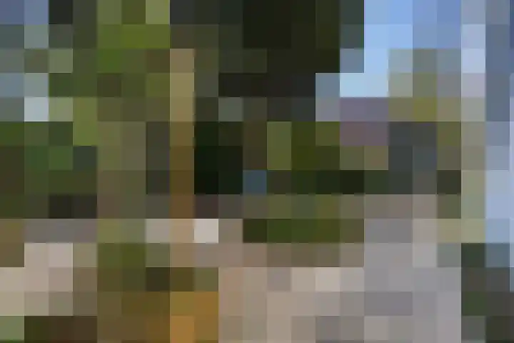 Mezenlaan 105 Den Haag thumbnail 37