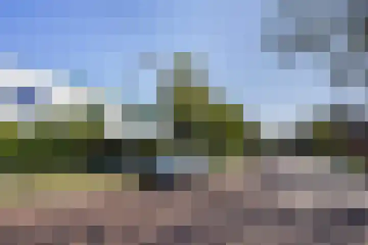 Mezenlaan 105 Den Haag thumbnail 39