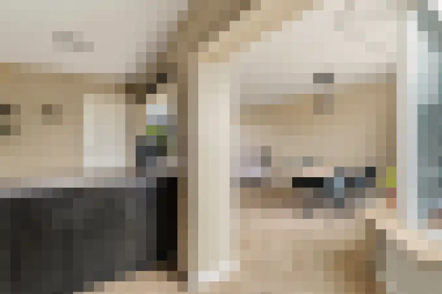 Mezenlaan 112 Dieren thumbnail 13