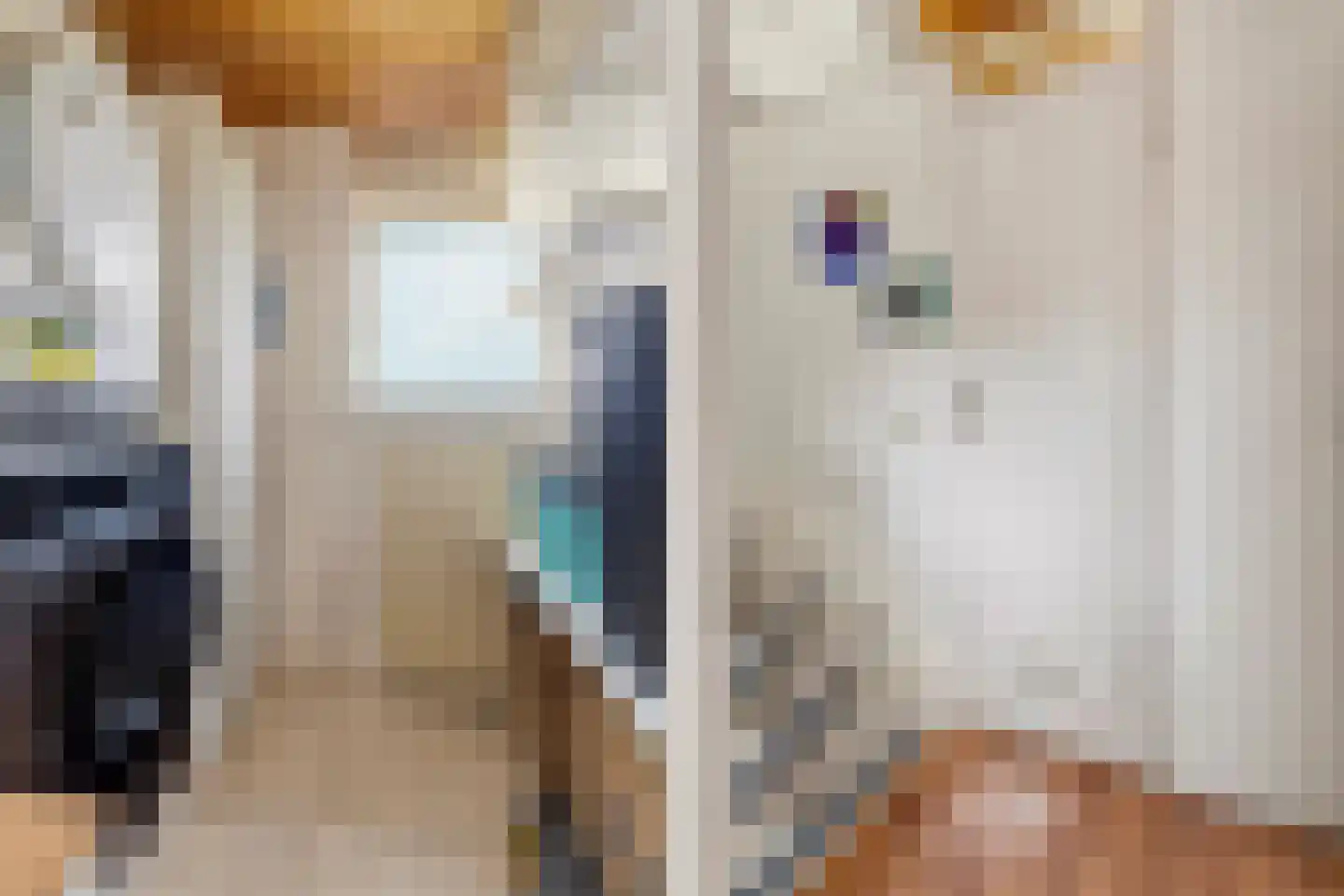 Mezenlaan 112 Dieren thumbnail 25