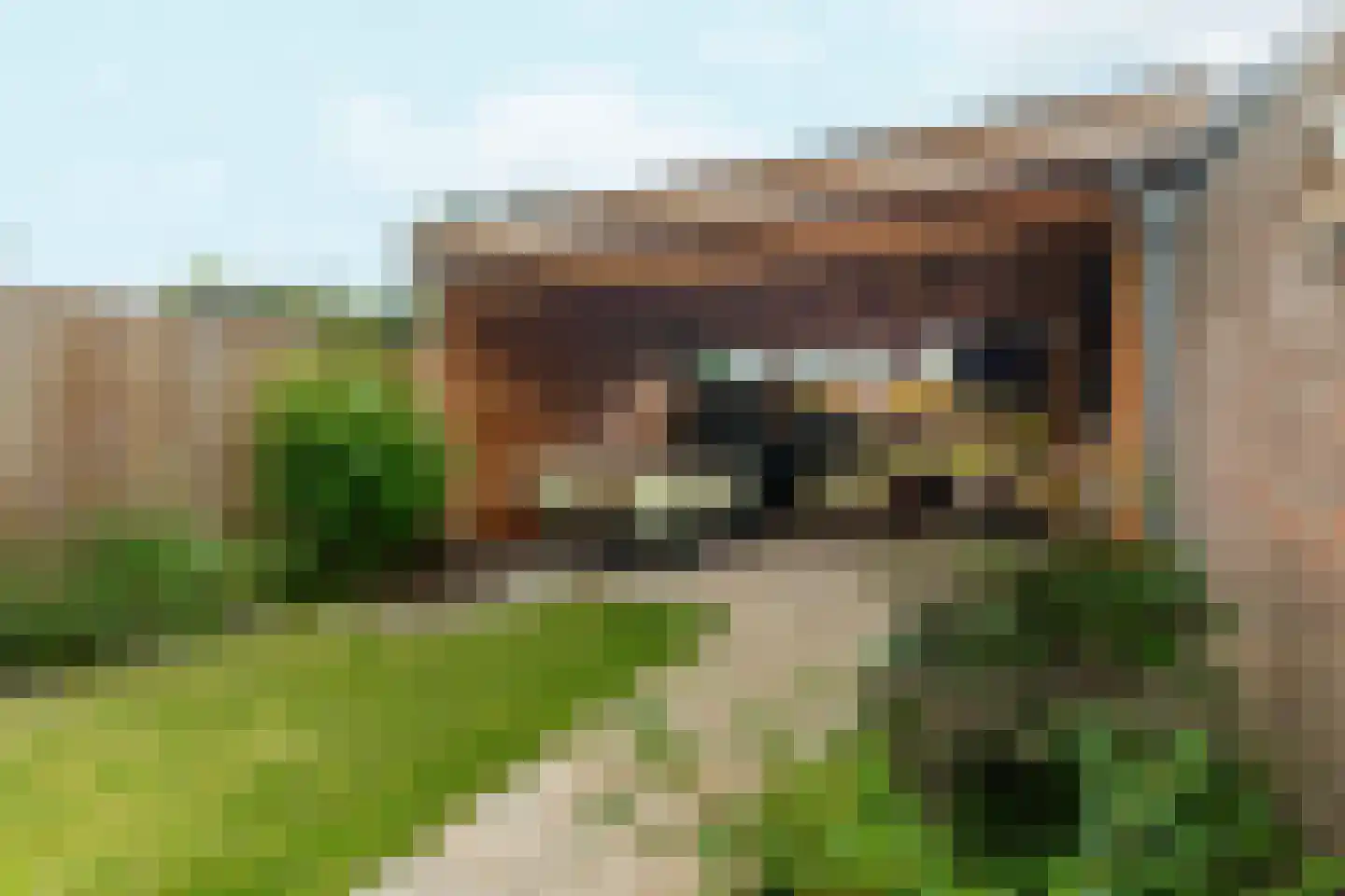 Mezenlaan 112 Dieren thumbnail 31