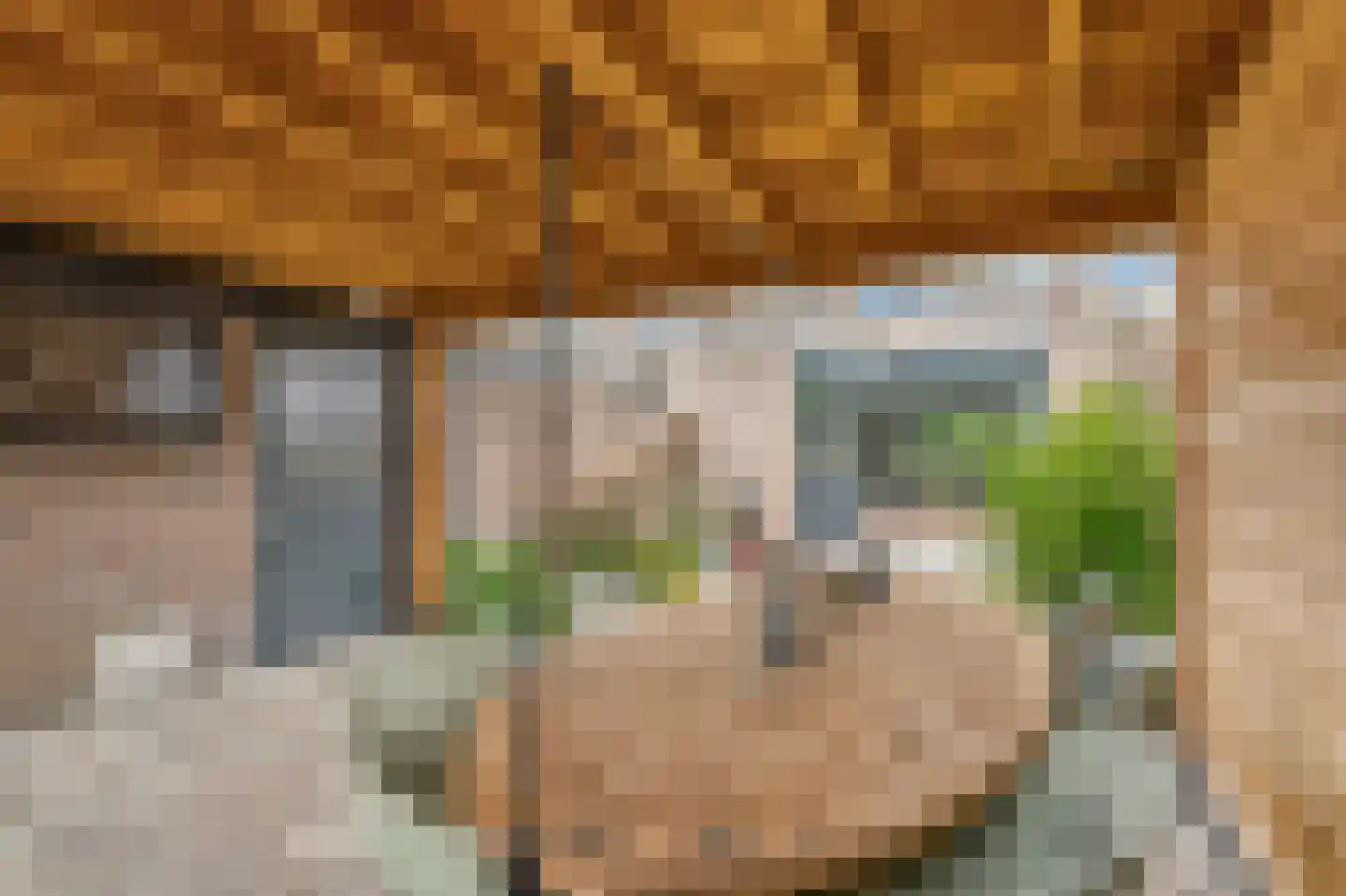 Mezenlaan 112 Dieren thumbnail 32