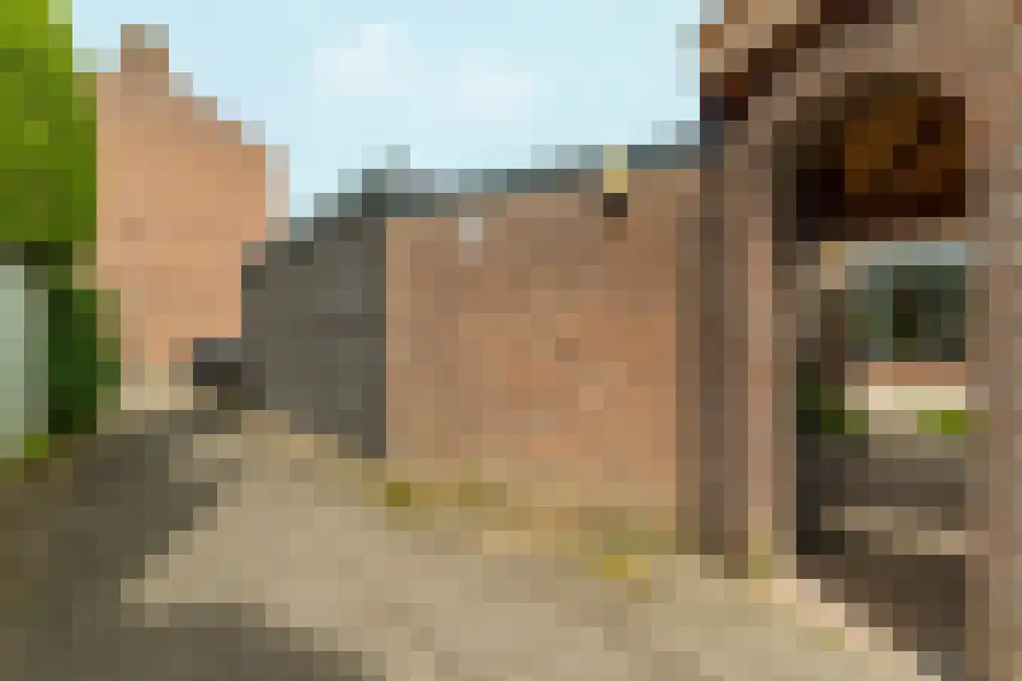 Mezenlaan 112 Dieren thumbnail 34