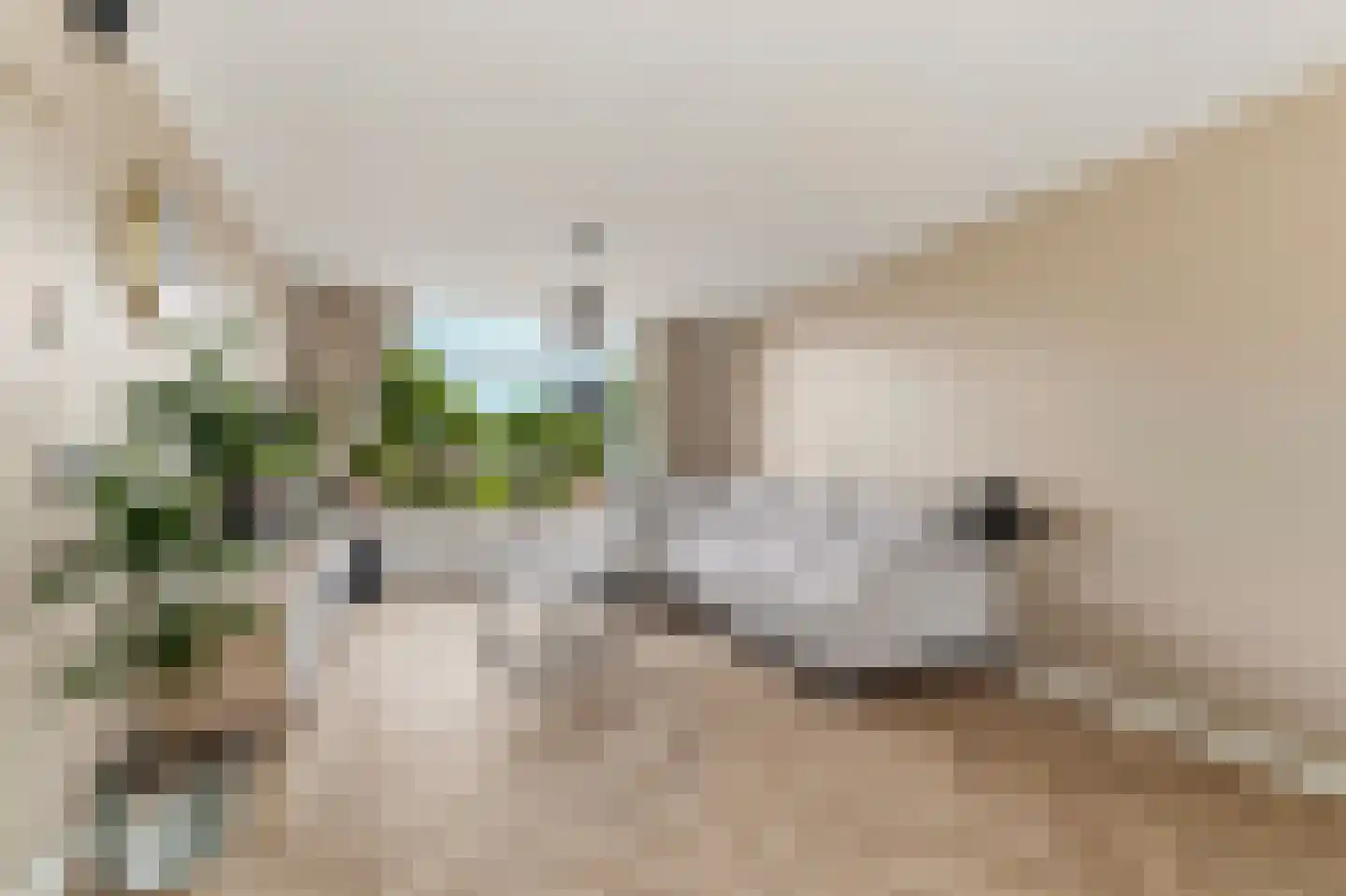 Mezenlaan 112 Dieren thumbnail 6