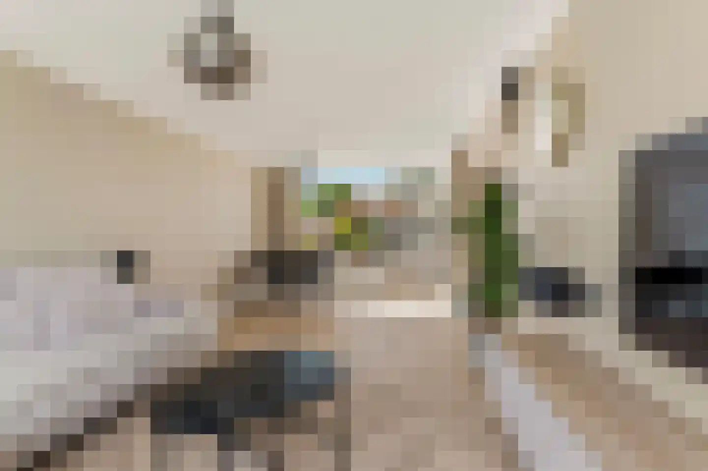 Mezenlaan 112 Dieren thumbnail 8