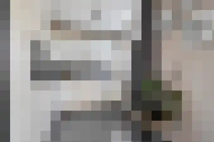 Mezenlaan 113 Dieren thumbnail 10