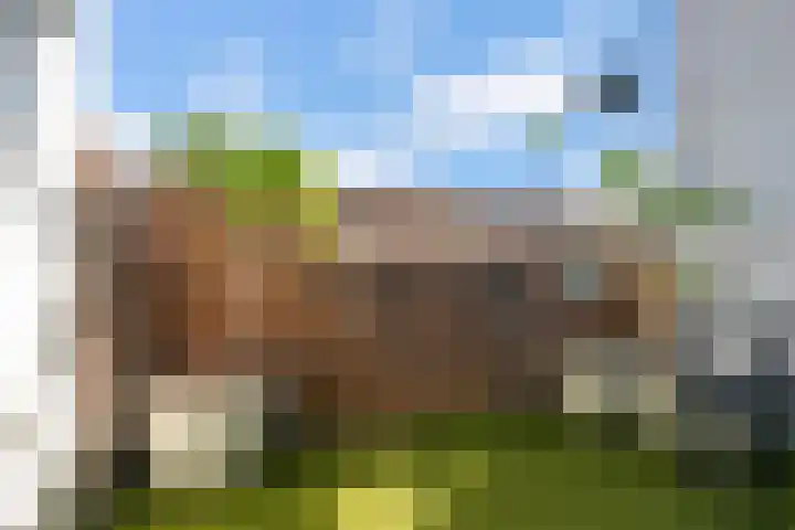 Mezenlaan 113 Dieren thumbnail 17