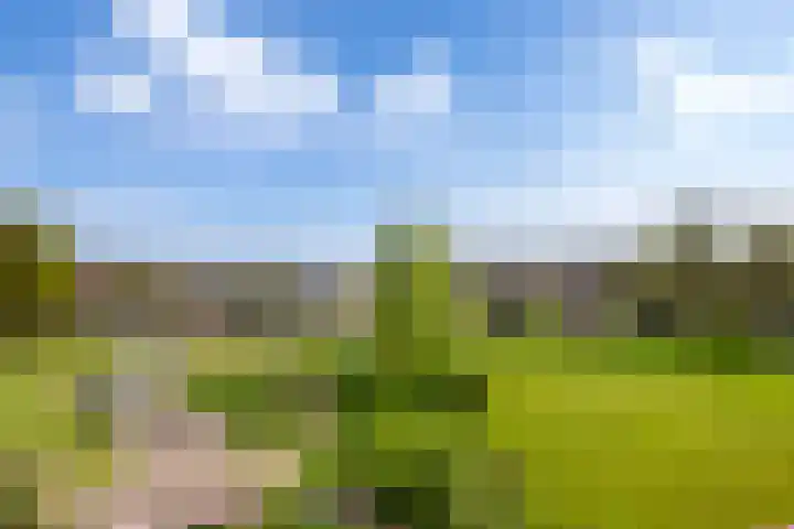 Mezenlaan 113 Dieren thumbnail 18