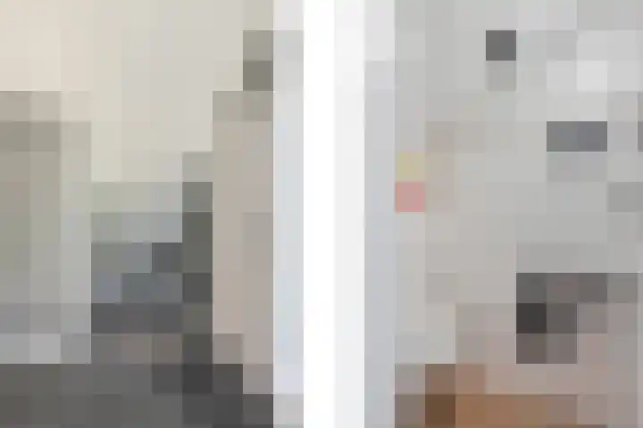 Mezenlaan 113 Dieren thumbnail 20