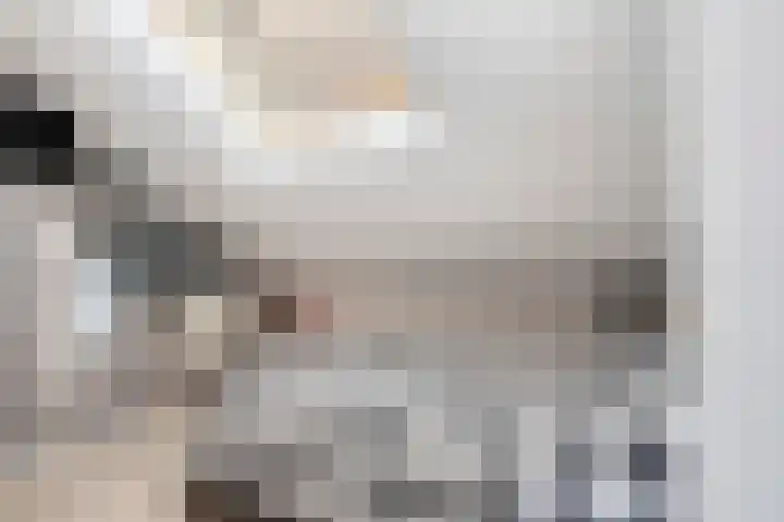 Mezenlaan 113 Dieren thumbnail 23