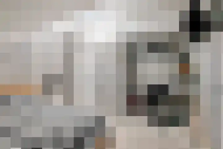 Mezenlaan 113 Dieren thumbnail 24