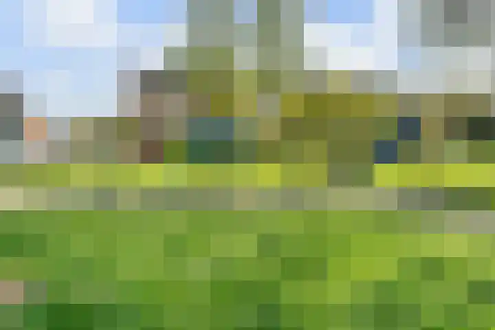 Mezenlaan 113 Dieren thumbnail 29