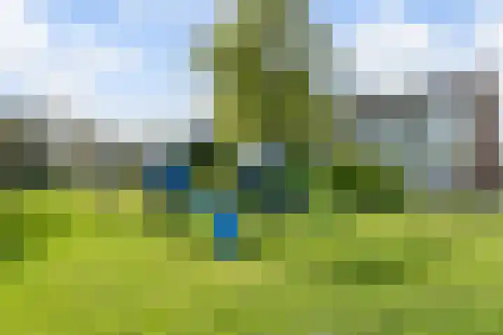 Mezenlaan 113 Dieren thumbnail 30