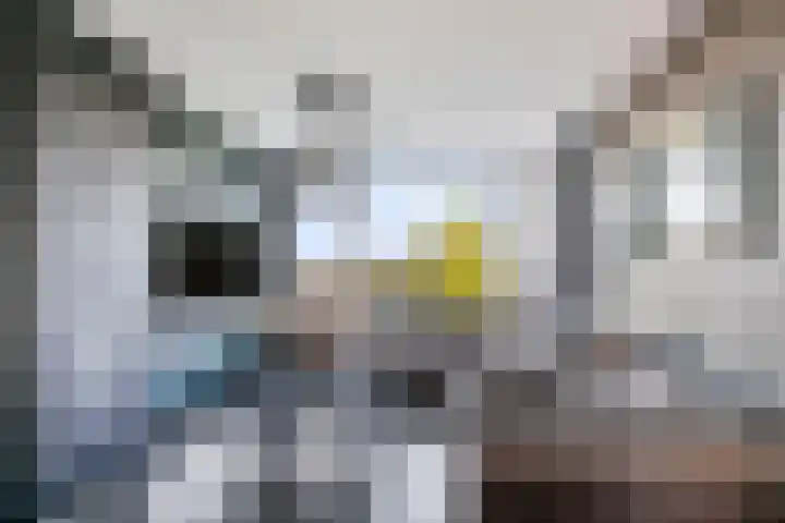 Mezenlaan 113 Dieren thumbnail 8