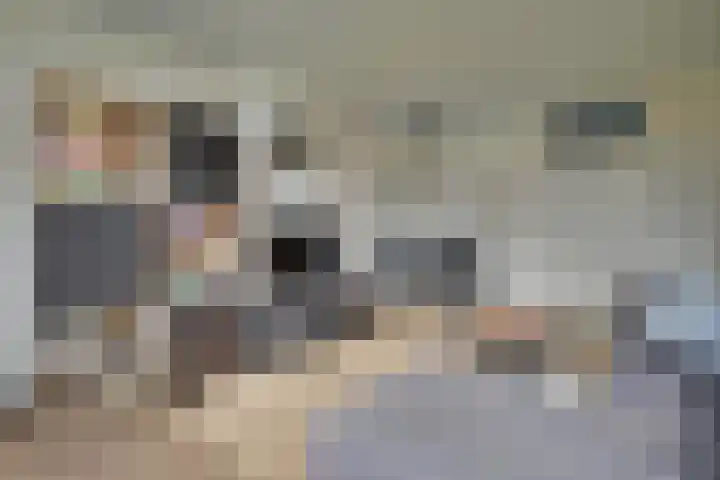Mezenlaan 117 Dieren thumbnail 13