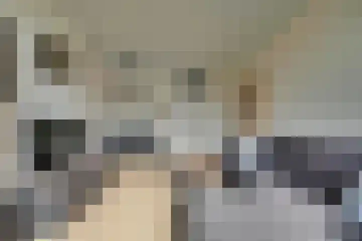 Mezenlaan 117 Dieren thumbnail 14