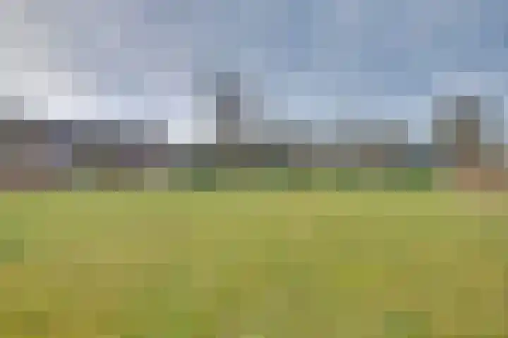 Mezenlaan 117 Dieren thumbnail 31