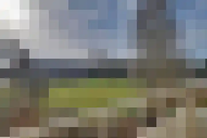 Mezenlaan 117 Dieren thumbnail 4