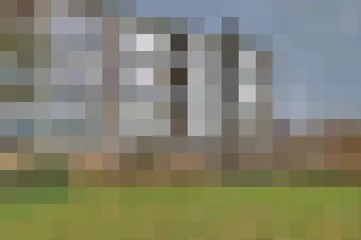 Mezenlaan 117 Dieren thumbnail 5